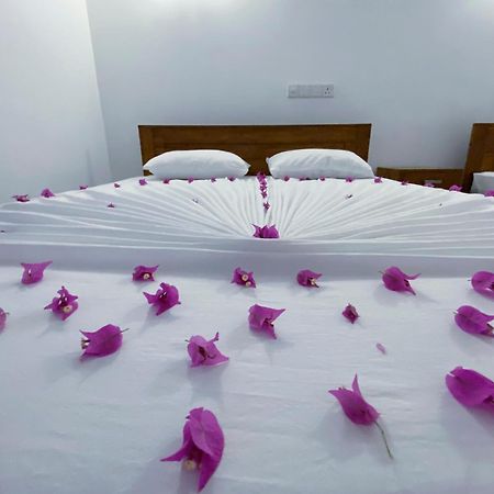 Yala Safari Green Home Stay Тисамахарама Екстериор снимка