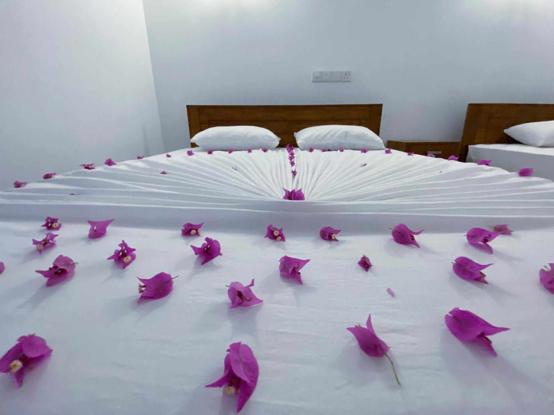 Yala Safari Green Home Stay Тисамахарама Екстериор снимка